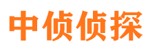 鹿城市调查公司